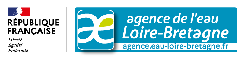 Logo RFIAE long200px